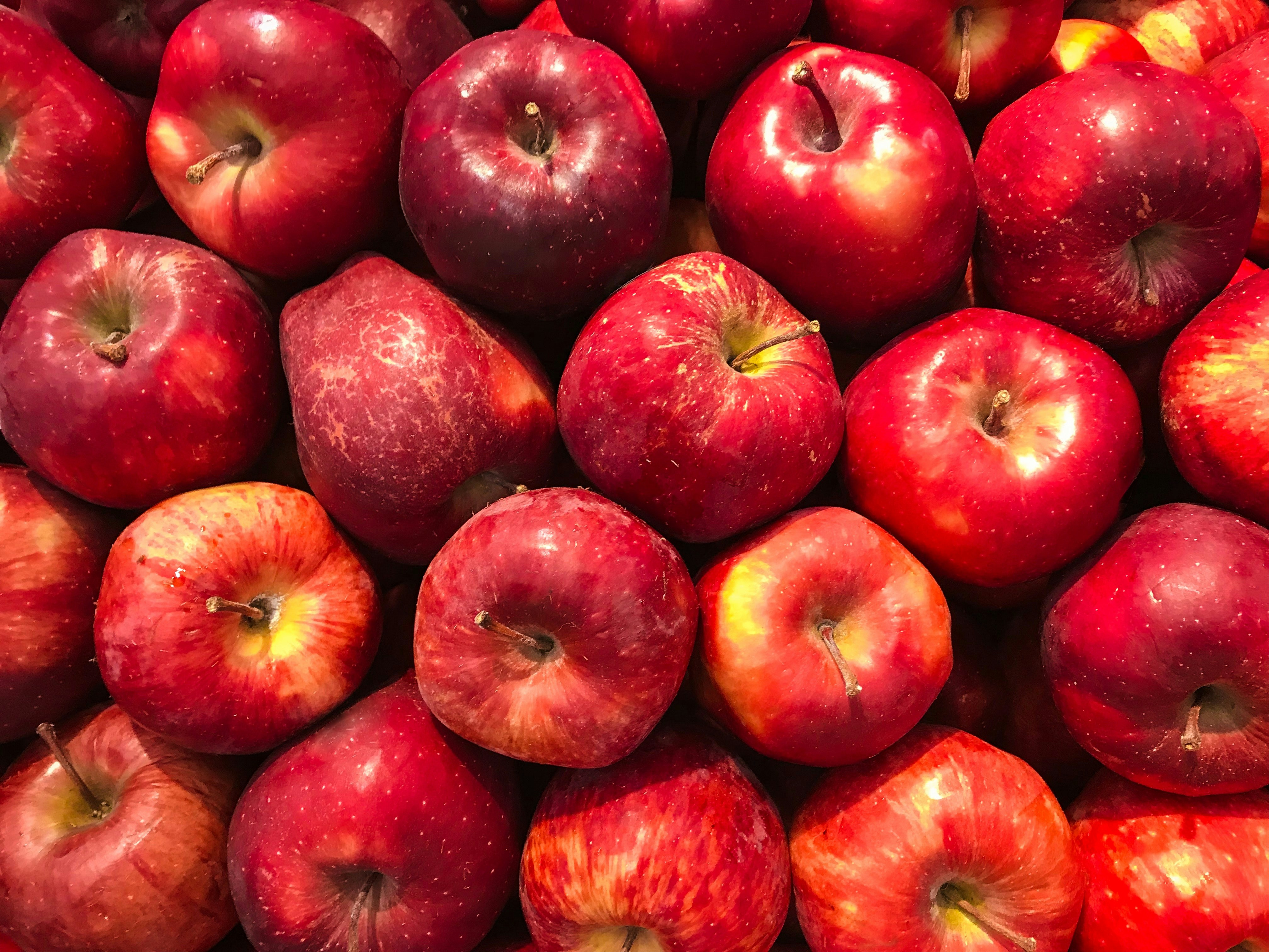 Close-up of fresh red apples